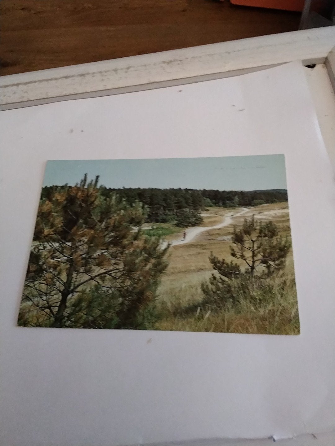 GROETEN UIT APPELSCHA. 1975, Ophalen of Verzenden, 1960 tot 1980