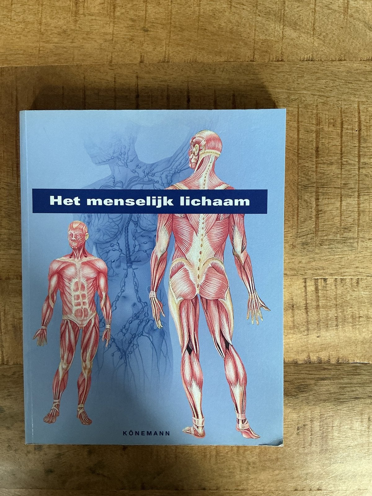 Het menselijk lichaam - Anatomie en gezondheid, Ophalen, Zo goed als nieuw, Natuurwetenschap
