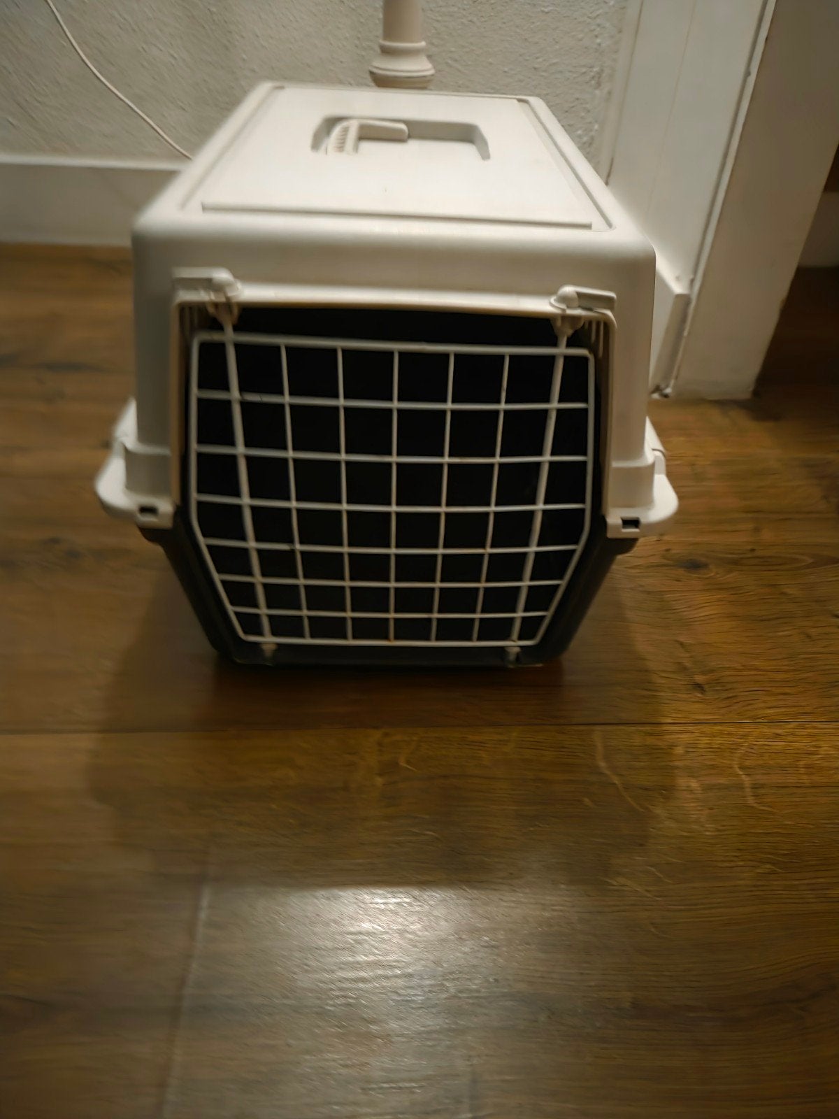 katten reismand, Ophalen of Verzenden