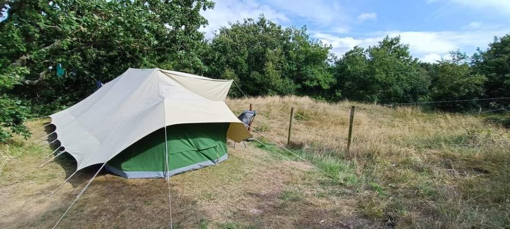 De Waard Oeverloper/Kleine Burgermeester, Caravans en Kamperen, Ophalen, Zo goed als nieuw, Tot en met 3
