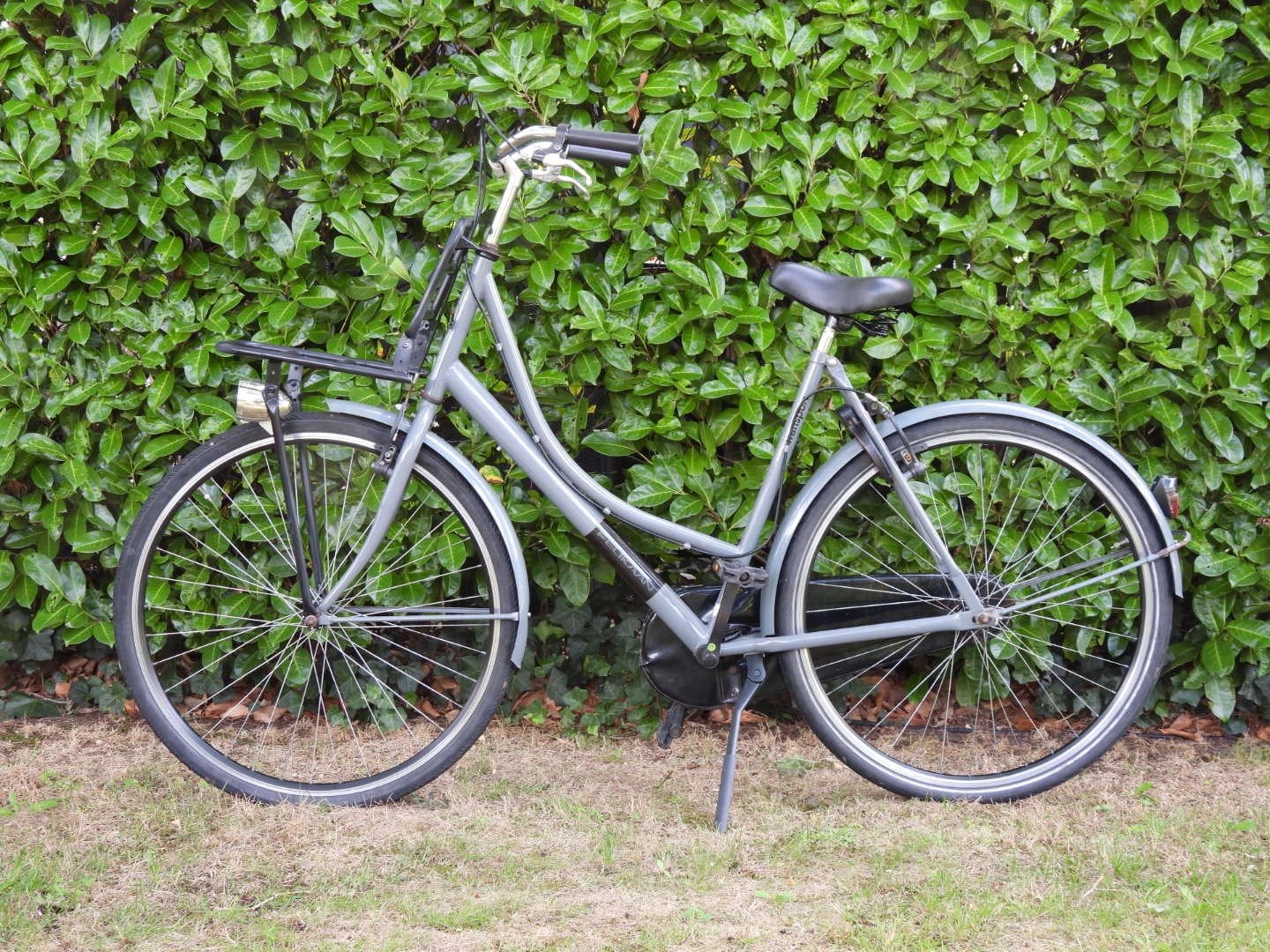 Pelikaan Transport, 56 cm of meer, Ophalen, Gebruikt, Velgrem