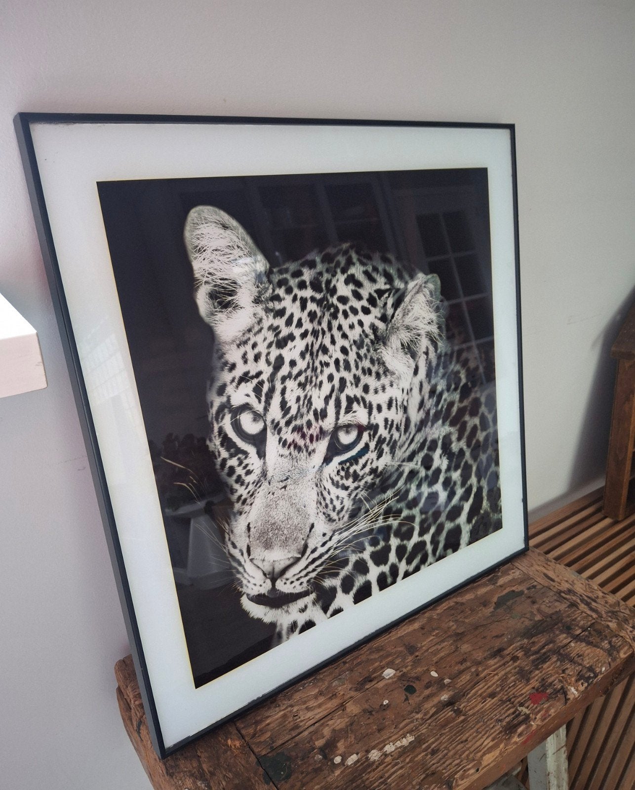 lijst glas met afdruk van panter, leopard, Ophalen