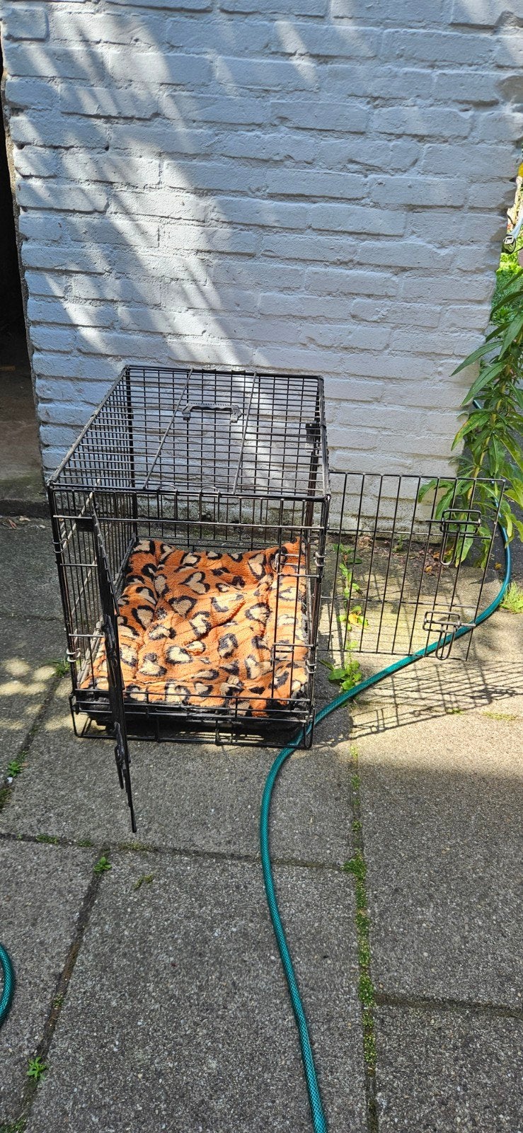 Bench voor kleine hond te koop, Ophalen, Zo goed als nieuw, Minder dan 75 cm, Minder dan 65 cm