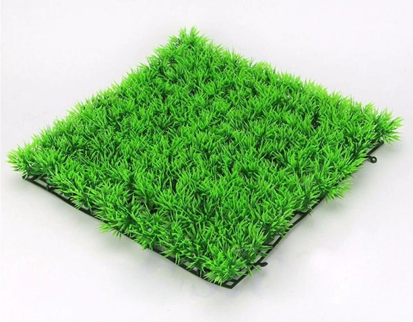 Groene Sier Gras Plant Aquarium / Sier Nep Waterplant Vissen, Verzenden, Nieuw, Plant(en), Steen of Hout