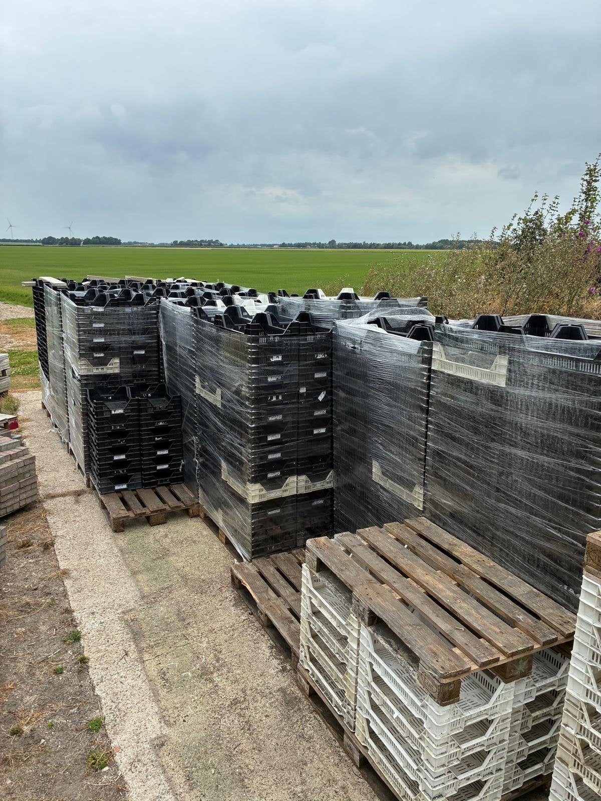 Zwarte stapelbare kratten voor opslag of transport, Ophalen, Gebruikt, 40 tot 60 cm, 50 tot 75 cm