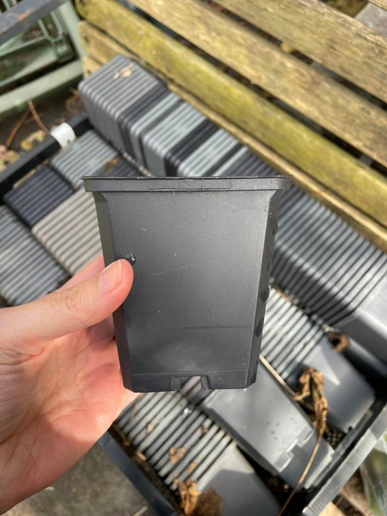P9 kweekbakjes voor stekjes, totaal 3000 stuks, Ophalen, Kunststof, Gebruikt, Vierkant