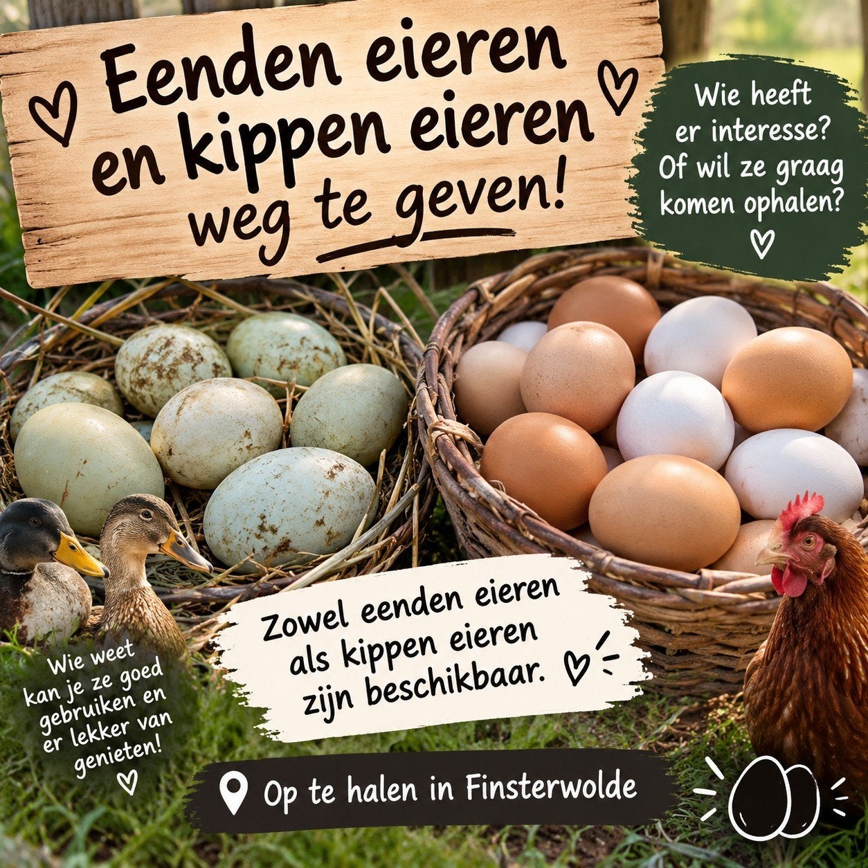 verse eenden eieren en kippen eieren., Diversen, Ophalen of Verzenden