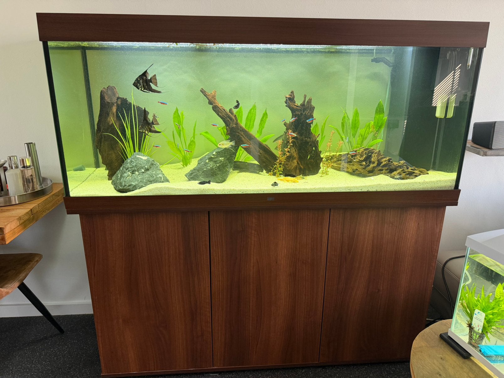 Juwel rio 450 liter, Ophalen, Verwarming, Gebruikt, Leeg aquarium
