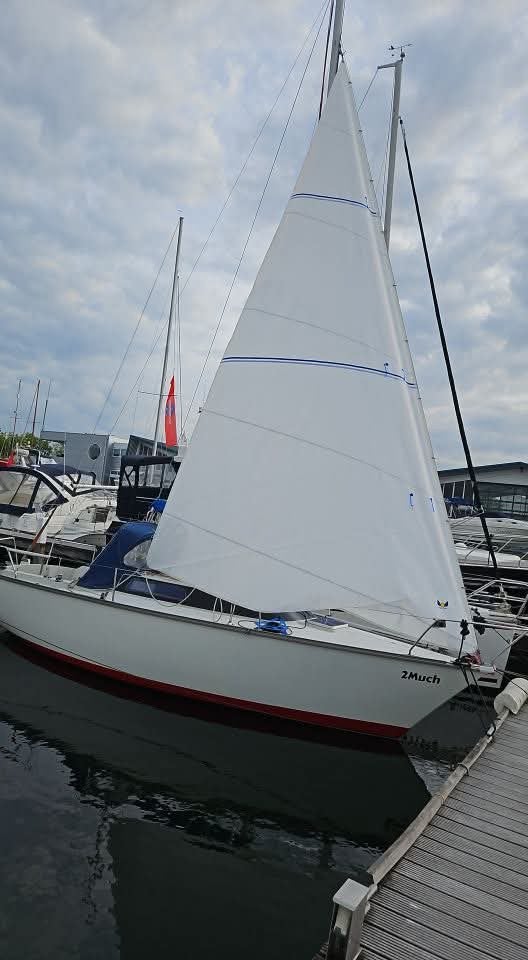 Hagoort Sails Genua II  (Dufour 24), Ophalen of Verzenden, Zo goed als nieuw, Genua of Fok, 3 tot 6 meter