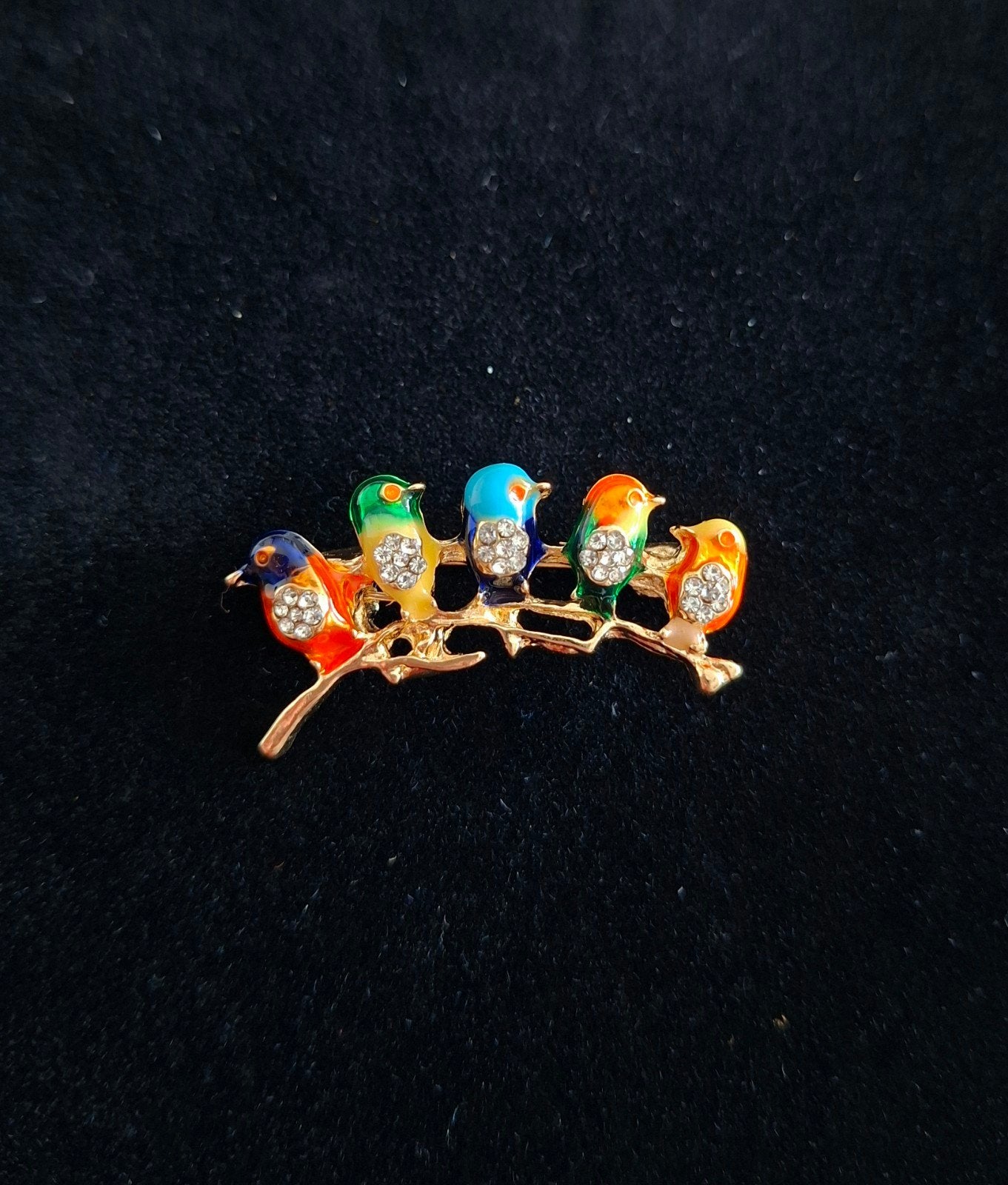 Kleurrijke vogeltjes broche met strass, Overige materialen, 4 tot 7 cm, Overige kleuren, Nieuw