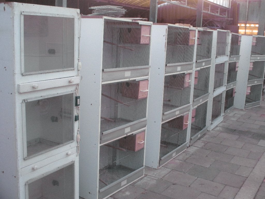 vogels broedkooien, Ophalen, Gebruikt, Hout, Broedkooi of Kweekkooi