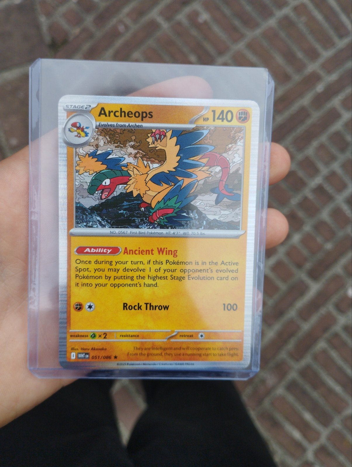 Pokémon Kaarten: Ferroseed en Archeops, Ophalen of Verzenden