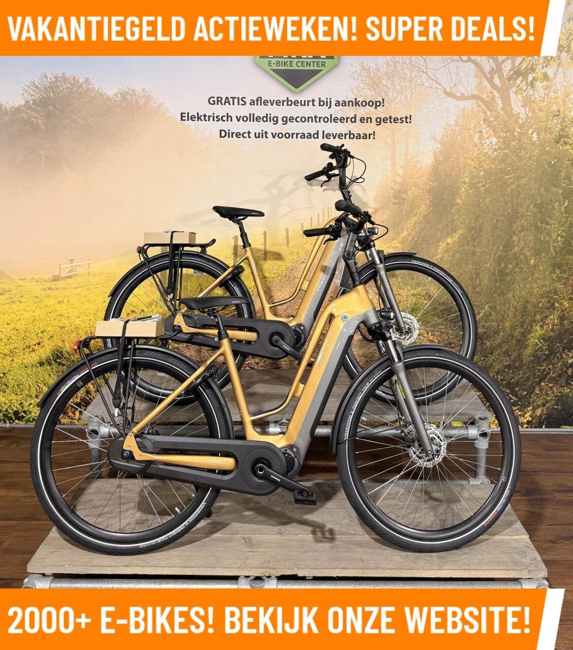Multicycle Elektrische fiets met midden motor ebike!