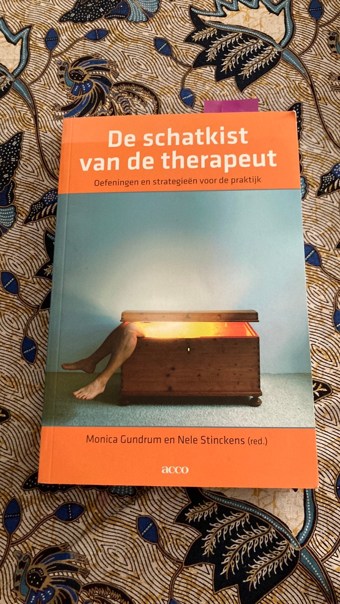 De schatkist van de therapeut, Boeken, Psychologie, Ophalen of Verzenden, Zo goed als nieuw