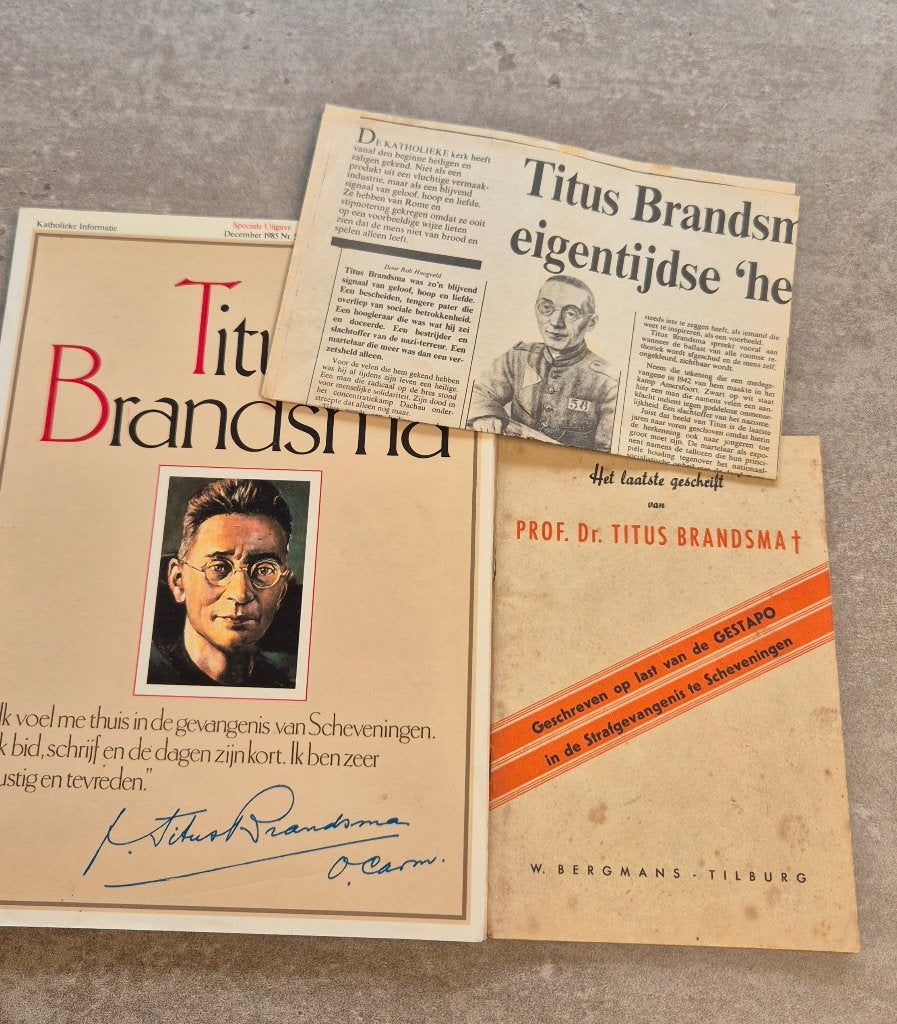 Titus Brandsma, Boeken, Ophalen of Verzenden, Christendom | Katholiek