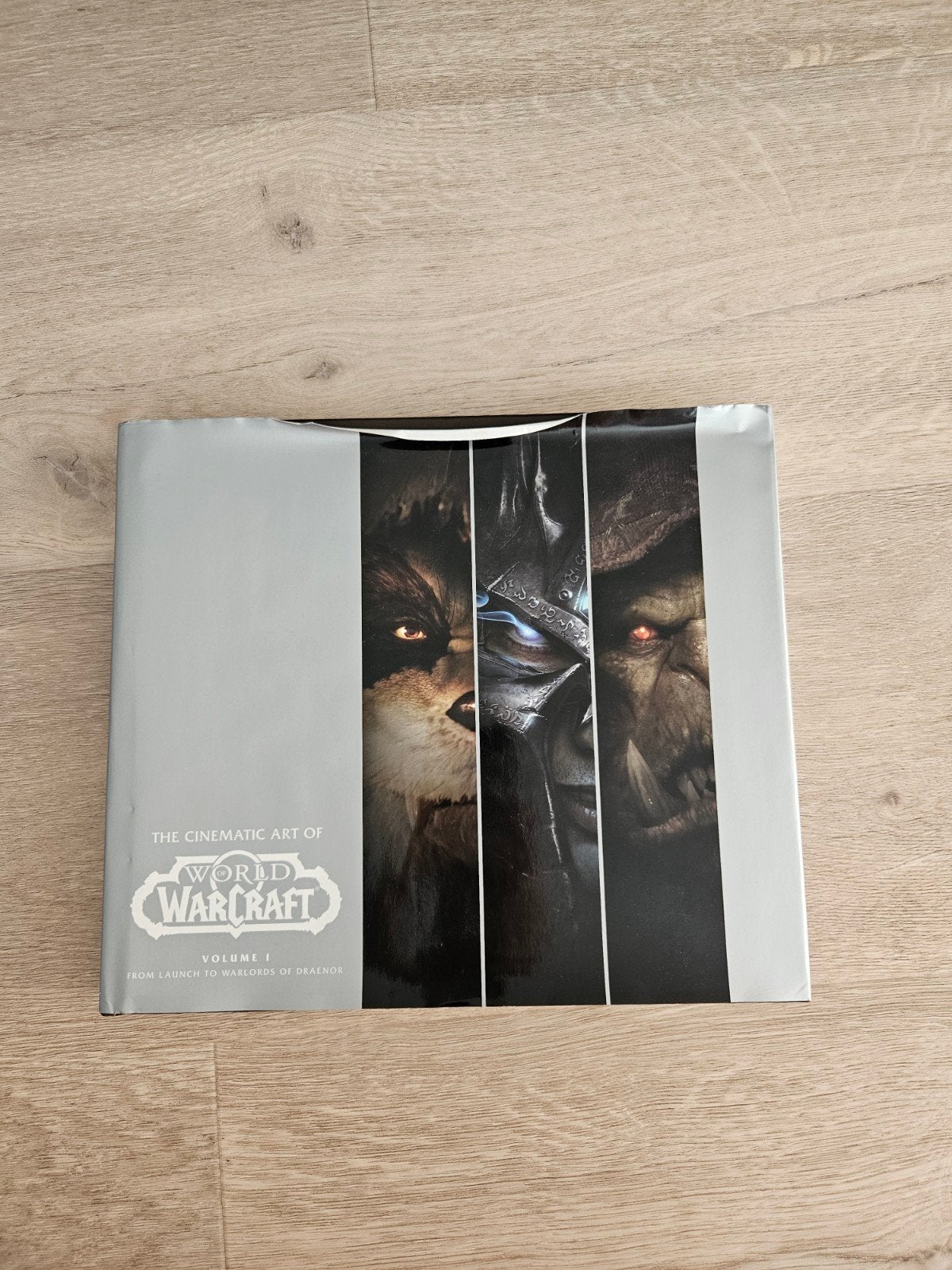 The Cinematic Art of World of Warcraft Volume 1, Ophalen of Verzenden, Gelezen