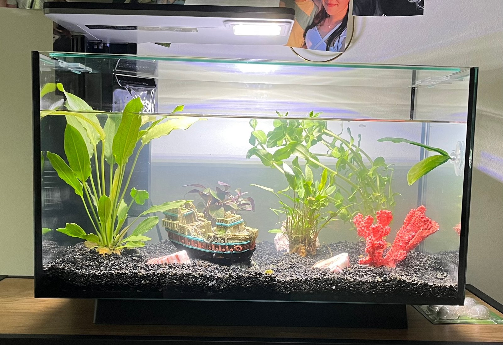Superfish aquarium 40 liter, Dieren en Toebehoren, Vissen | Aquaria en Toebehoren, Ophalen, Gebruikt, Leeg aquarium, Superfish