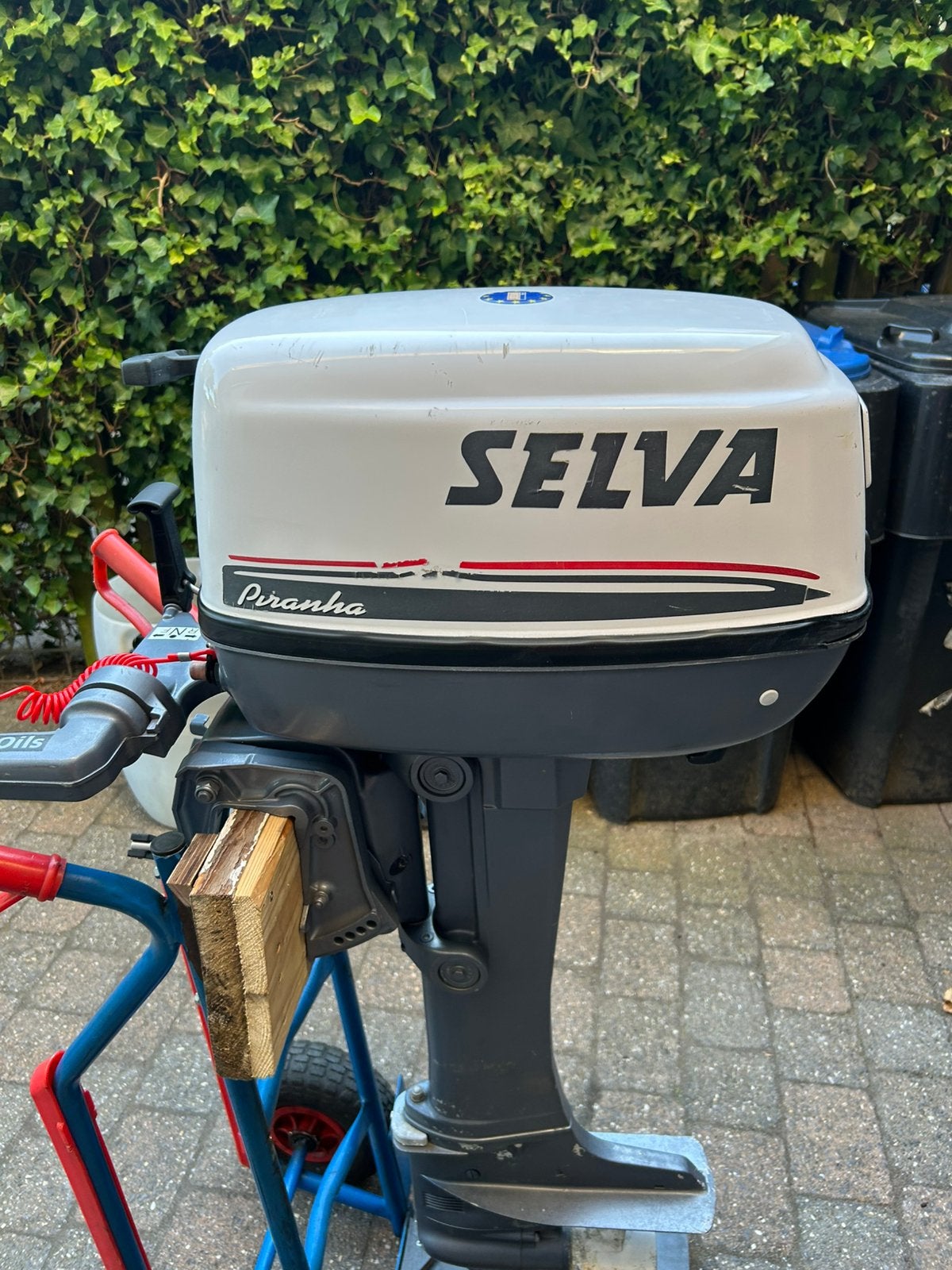 Selva Piranha 9,9 pk 4 takt (bj.2012) klaar voor gebruik, Ophalen, Gebruikt, 5 tot 10 pk, Buitenboordmotor