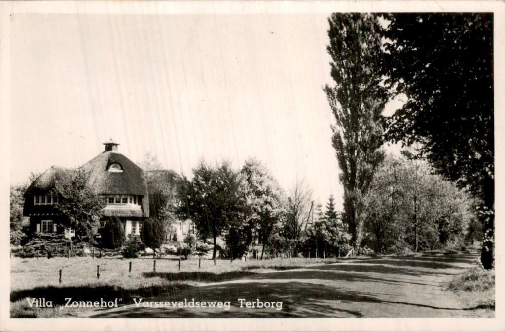 Terborg - Villa - Zonnehof, Ophalen of Verzenden, 1920 tot 1940, Ongelopen, Gelderland