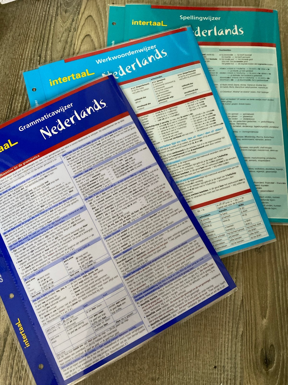 Intertaal Grammaticawijzer, Werkwoordenwijzer, Spellingwijze, Ophalen of Verzenden, Zo goed als nieuw, Non-fictie