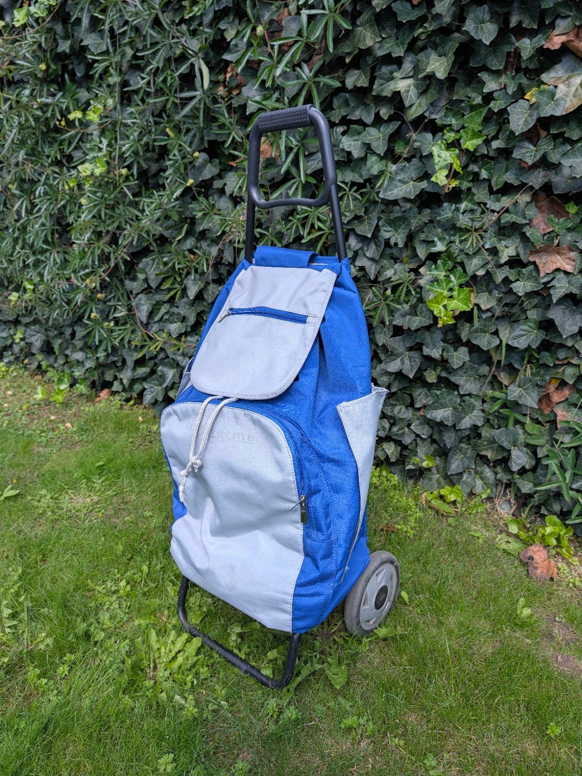 Boodschappen trolley, Ophalen, 30 cm of meer