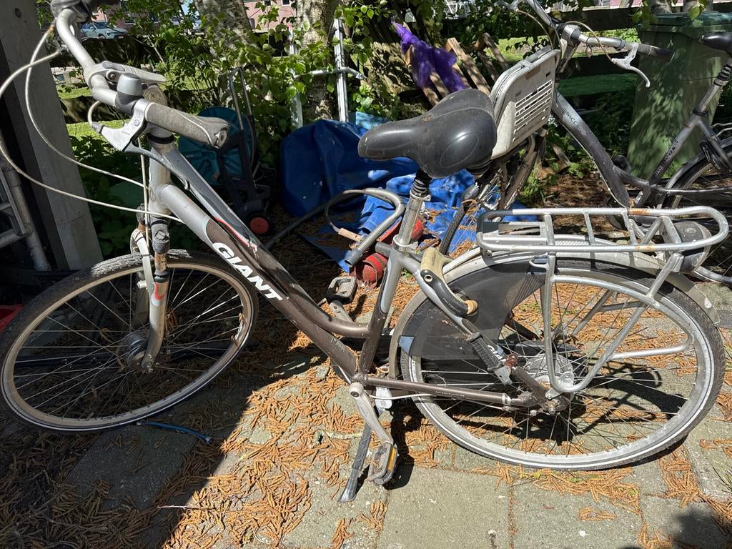 Giant Damesfiets met 8 Versnellingen - Voorspatbord Ontbreek, Fietsen en Brommers, Fietsen | Dames | Damesfietsen, Velgrem, Versnellingen
