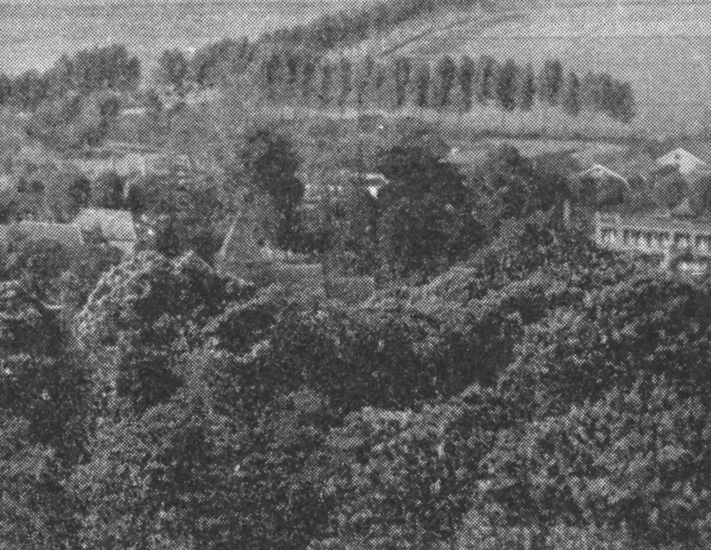 973012	Beek	Panorama	Onbeschreven, Ophalen of Verzenden, 1940 tot 1960, Ongelopen, Gelderland