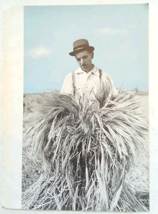 Foto Dop Heijns Fotomontage Paul Schuitema pagina print, Ophalen of Verzenden, 1980 tot heden, Tijdschrift