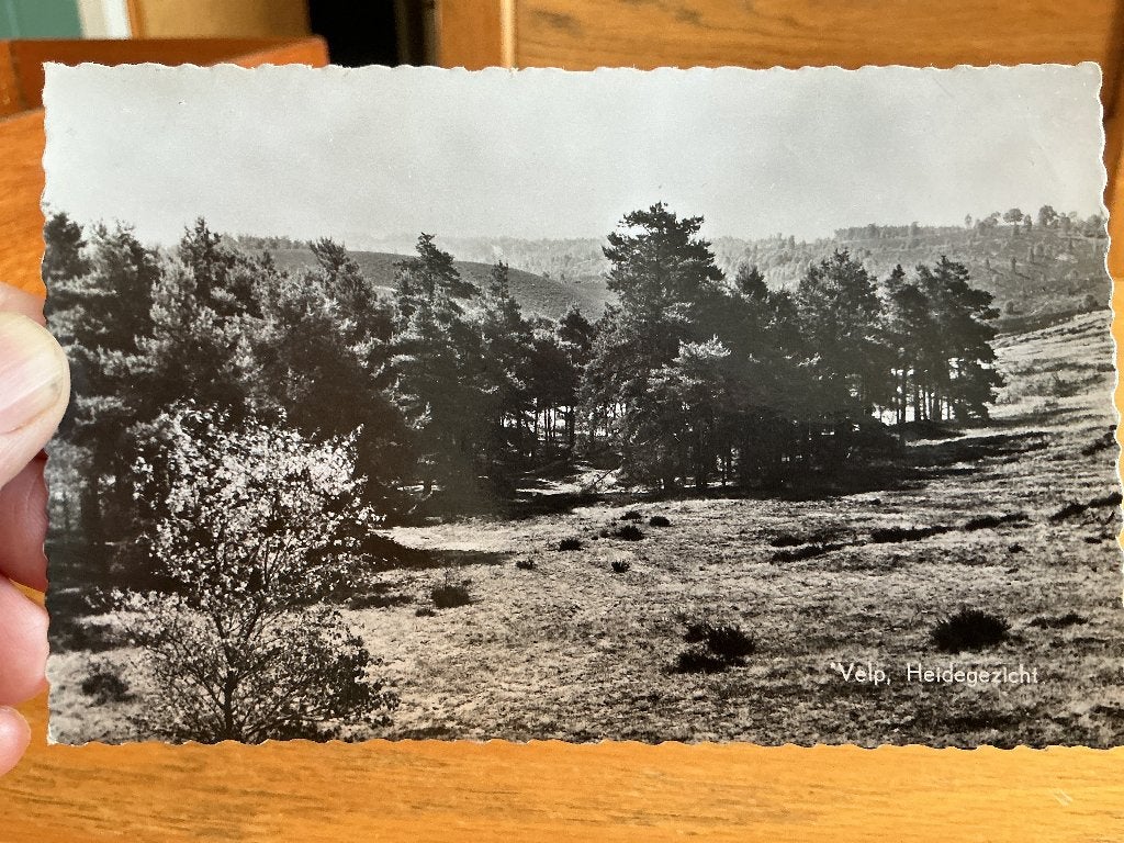 Velp, Verzenden, 1940 tot 1960, Gelopen, Gelderland