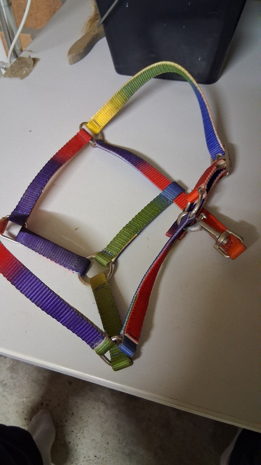Shetland halster regenboog, Ophalen of Verzenden, Halster