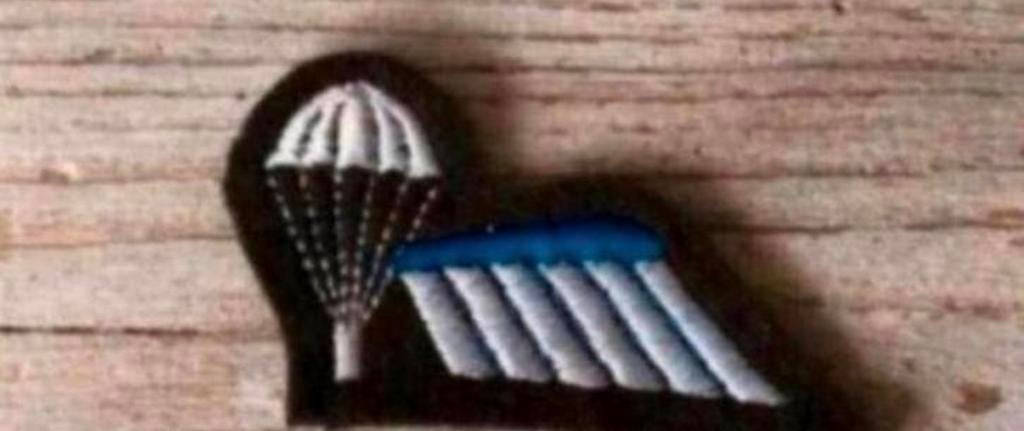 Para-Wing B brevet Halve Kip, Verzamelen, Militaria | Algemeen, Verzenden, Landmacht, Nederland, Embleem of Badge