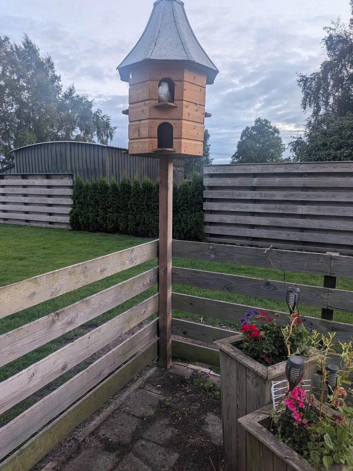 Duiventil op paal, Ophalen, Zo goed als nieuw
