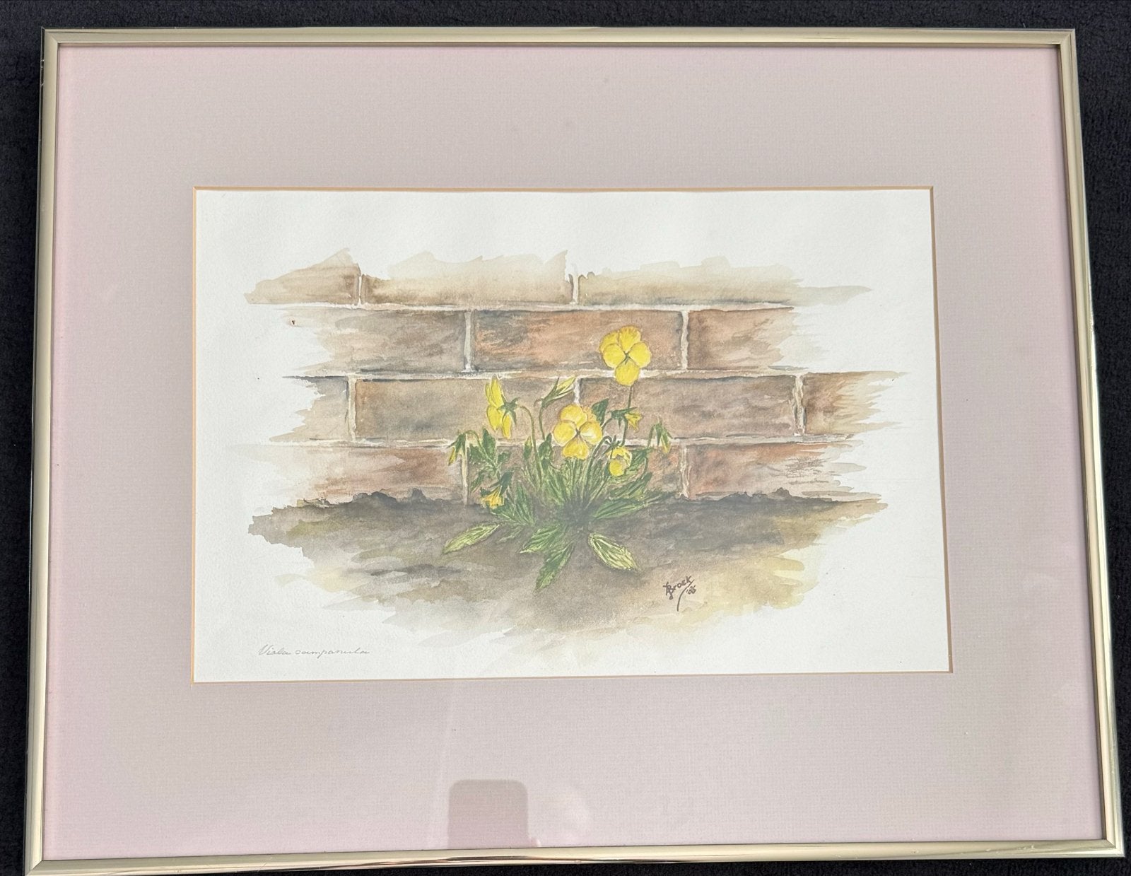 Aquarel van viooltjes tegen een bakstenen muur, gesigneerd, Antiek en Kunst, Bloemen, Realistisch, Ophalen of Verzenden, Gesigneerd