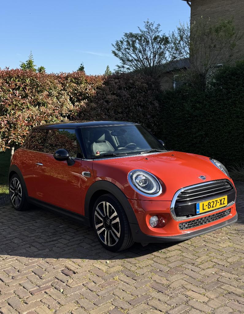 Mini Cooper Chili - 1.5 Cruise Controle Carplay Park Assist, Auto's, Mini, USB, Overige kleuren, 4 stoelen, 49 €/maand