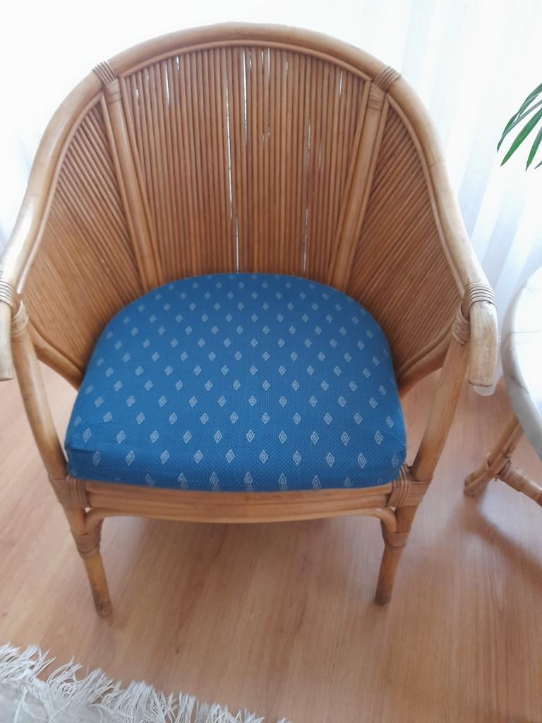 Twee rotan tuinstoelen met kussens, Huis en Inrichting, Stoelen, Ophalen of Verzenden