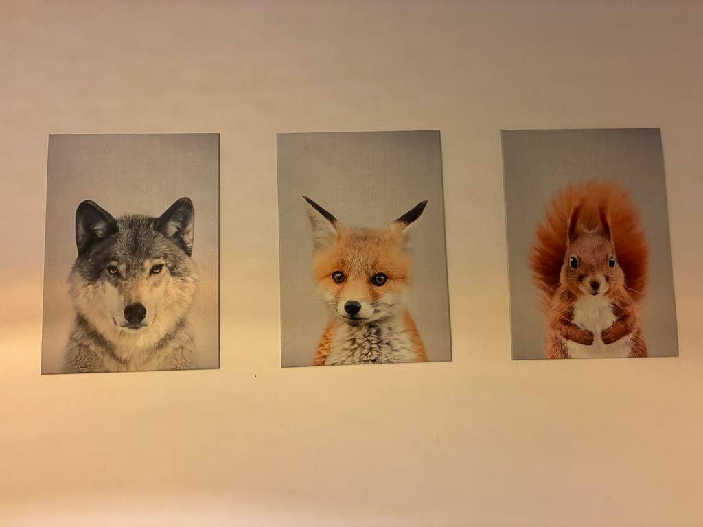 Set van 3 metalen posters: wolf, vos en eekhoorn, Metaal, Meerkleurig, Ophalen of Verzenden, Zo goed als nieuw