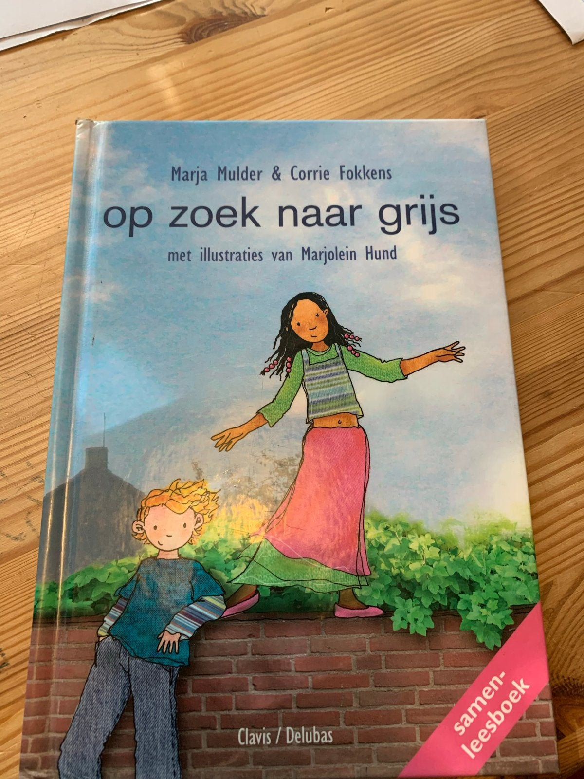Op zoek naar grijs - Marja Mulder & Corrie Fokkens, Ophalen of Verzenden, Gelezen, Fictie algemeen