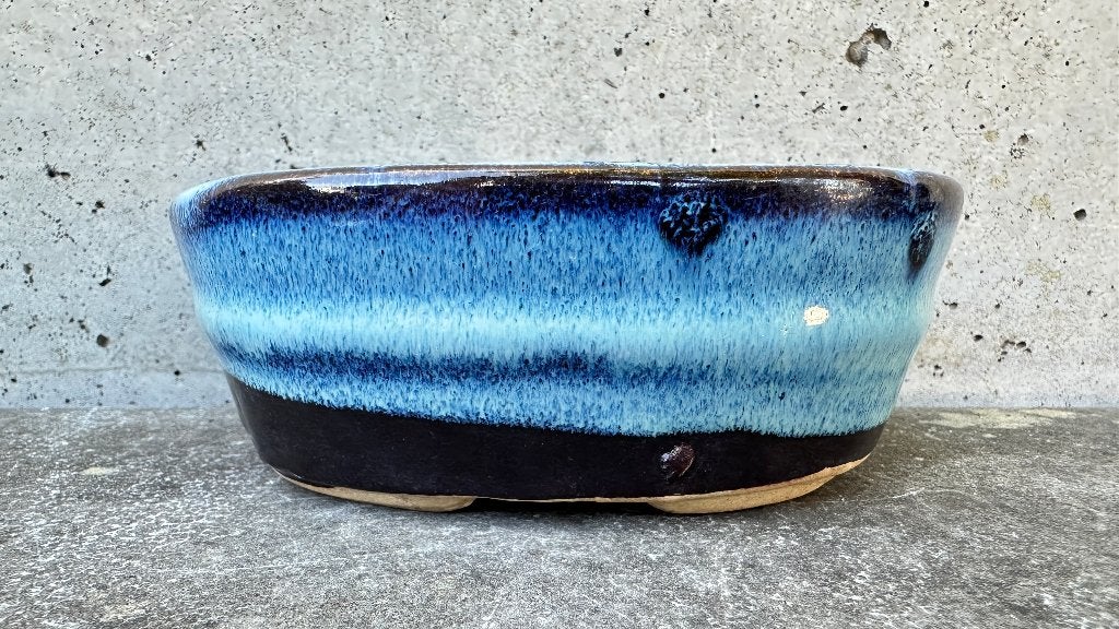 Bonsai schaal pot 12x9x4,5cm (3*), Ophalen of Verzenden, Zo goed als nieuw, Overige vormen, Aardewerk
