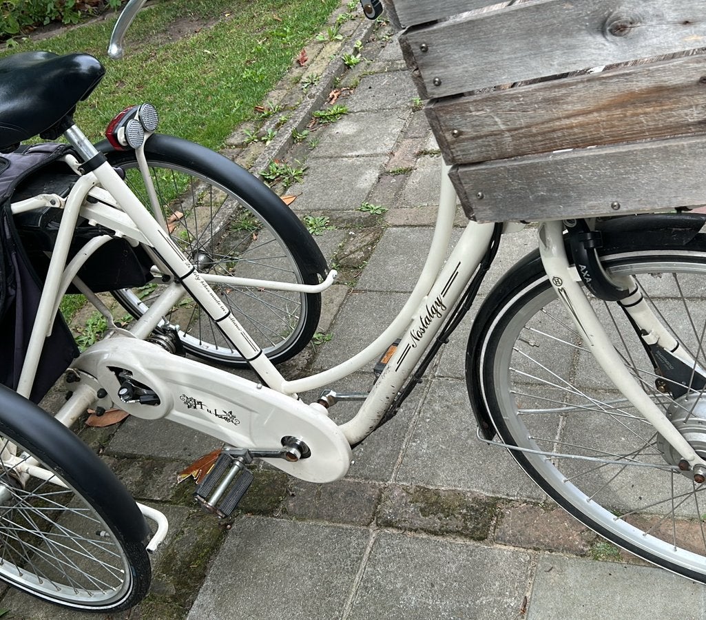Driewielerfiets met trap ondersteuning, Ophalen, Gebruikt, Terugtraprem