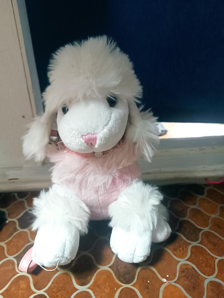 Schattige Roze Poedel Knuffel met Riem, Overige merken, Overige karakters, Zo goed als nieuw, Middelgroot (20 tot 80 cm)