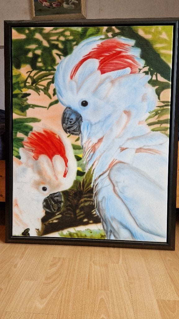 groot schilderij (airbrush) koppel MOLUKKEN KAKETOES, Meerdere dieren, Papegaai
