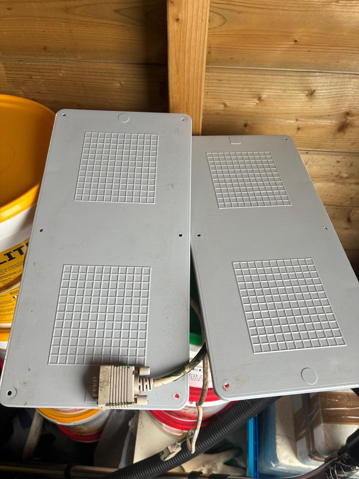 Postduiven 2 unikon antennes, Dieren en Toebehoren, Vogels | Duiven, Postduif