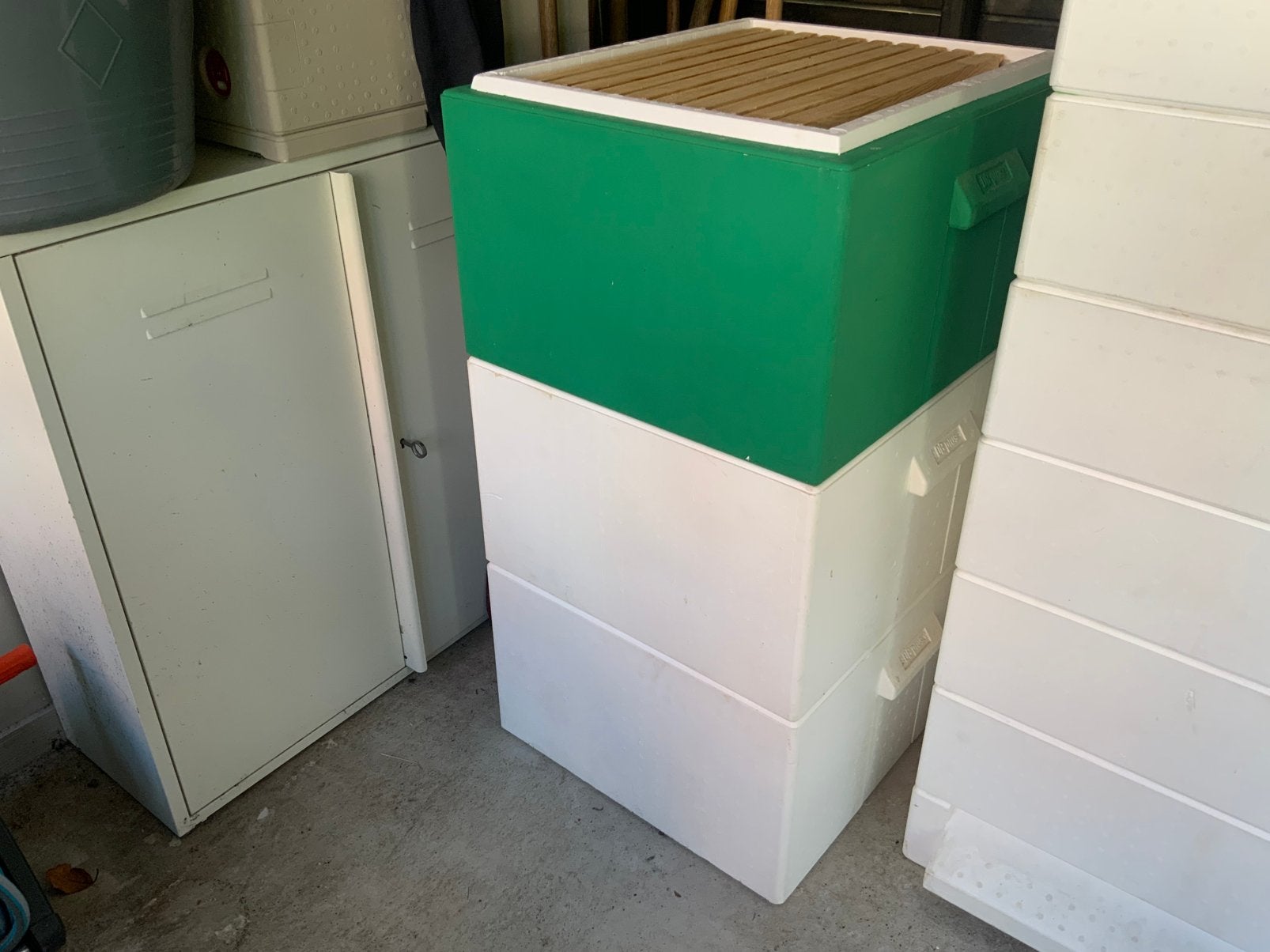 DB plus broedkamers + 32 broedramen ., Bijen