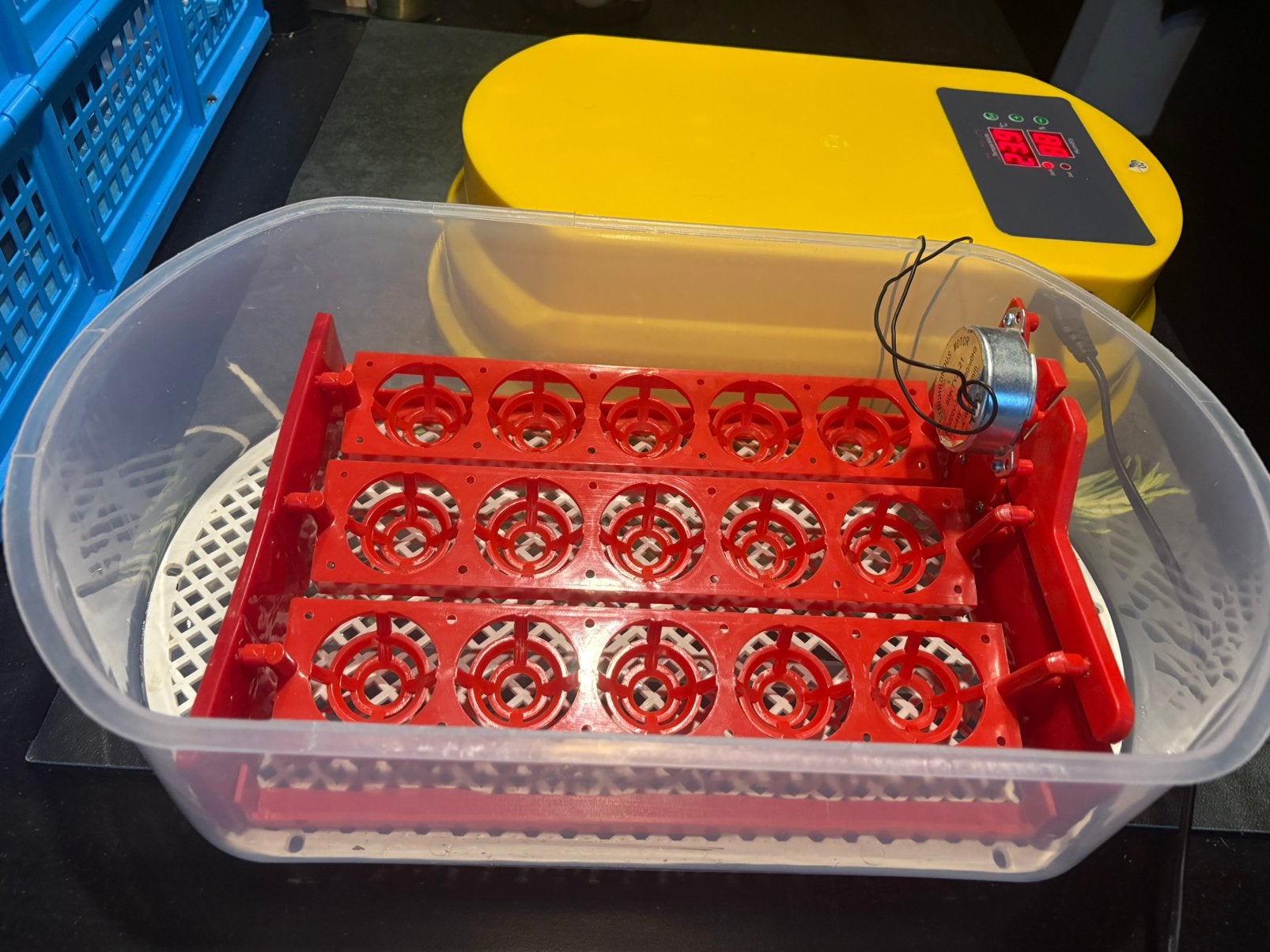 Budget broedmachine met handleiding, Ophalen of Verzenden, Gebruikt, Broedmachine