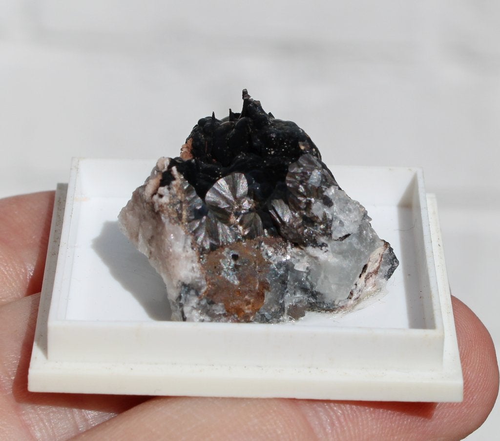PYROLUSIET uit CLARA MIJN in DUITSLAND, Ophalen of Verzenden, Mineraal