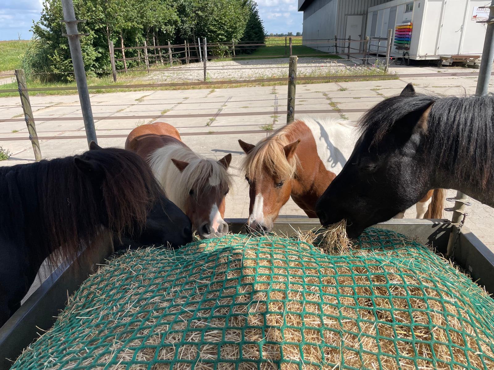 Graszaadhooi kleine pakjes, Dieren en Toebehoren, Ophalen, Vee