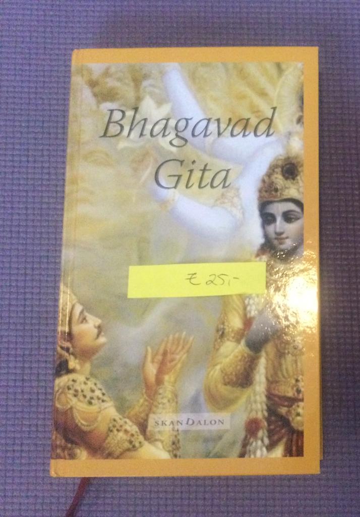 Bhagavad Gita, Boeken, Ophalen of Verzenden, Zo goed als nieuw