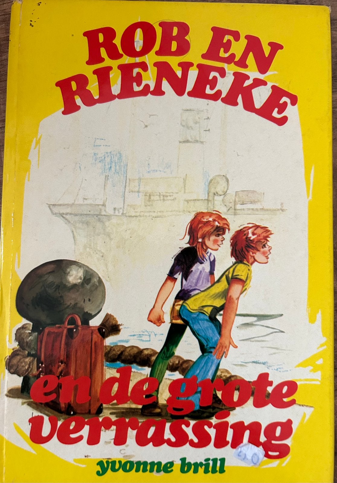 Rob en Rieneke en de Grote Verrassing - Yvonne Brill, Ophalen of Verzenden, Gelezen