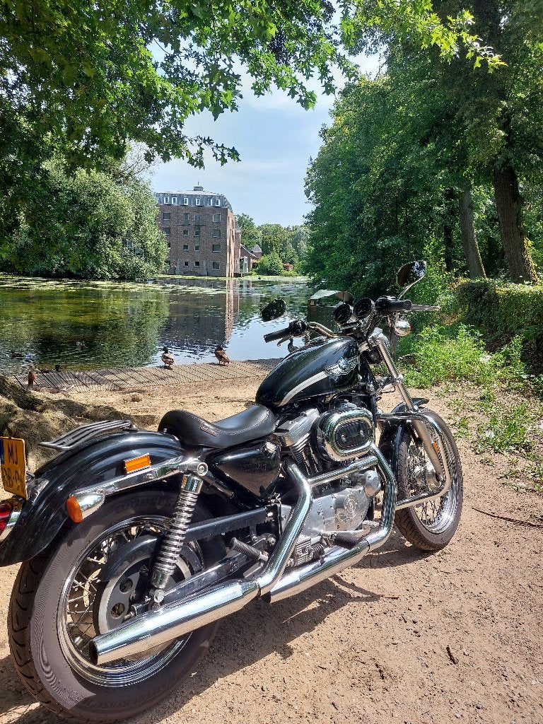 Harley Davidson Sportster 883, 100 th. Anniversary, Motoren, Motoren | Harley-Davidson, 2 cilinders, Occasion, 883 cc, Particulier
