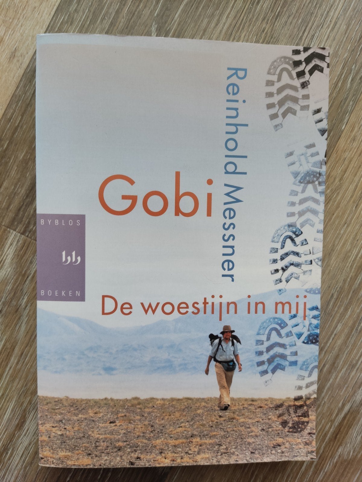 Gobi: De woestijn in mij - Reinhold Messner, Boeken, Ophalen of Verzenden, Zo goed als nieuw, Reisgids of -boek, Azië